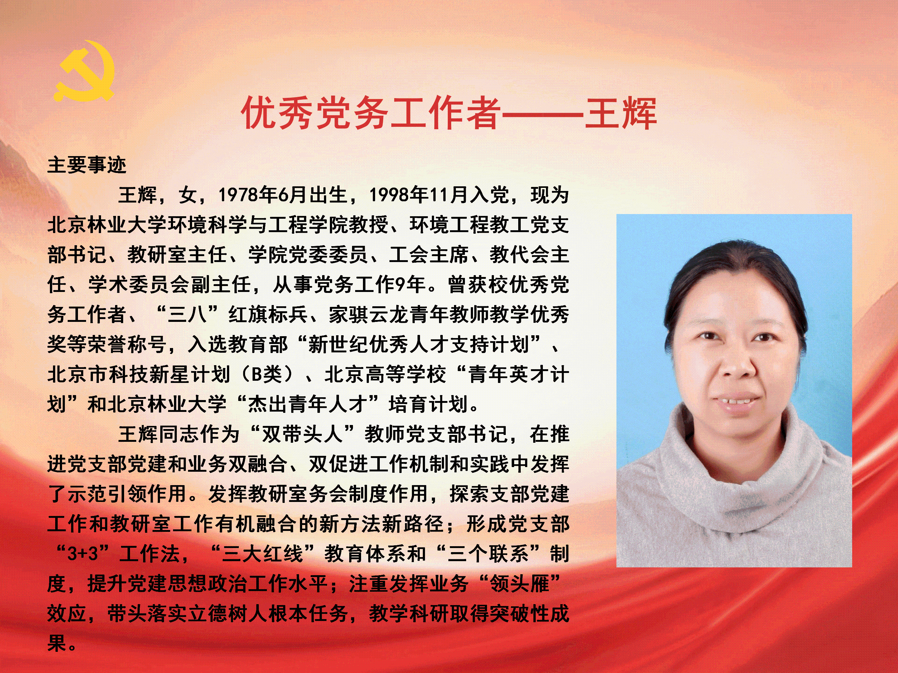 优秀党务工作者_03.png