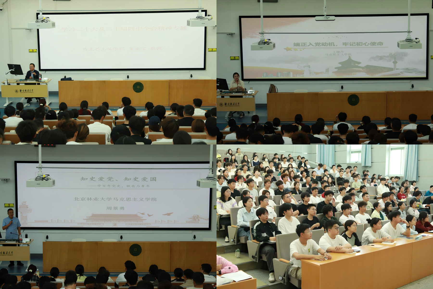 WPS拼图0.png